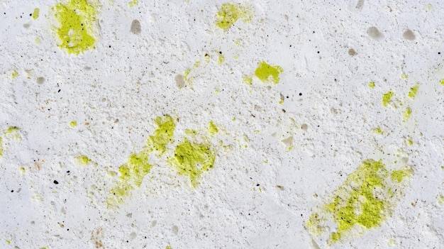 Jak skutecznie wywabić plamy z pleśni z różnych powierzchni?